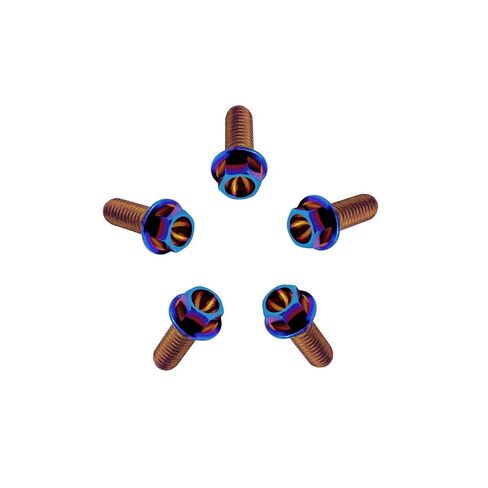 RISON-Titanium RISON Titanium Bolts Titanium Flanged Hex Head Bolt M6x1.0x15mm 6AL4V Aerospace Grade Ti Bolt Burnt Blue Titanium Bolt for Motorcycle Car Modification Pack of 5 in Saudi Arabia