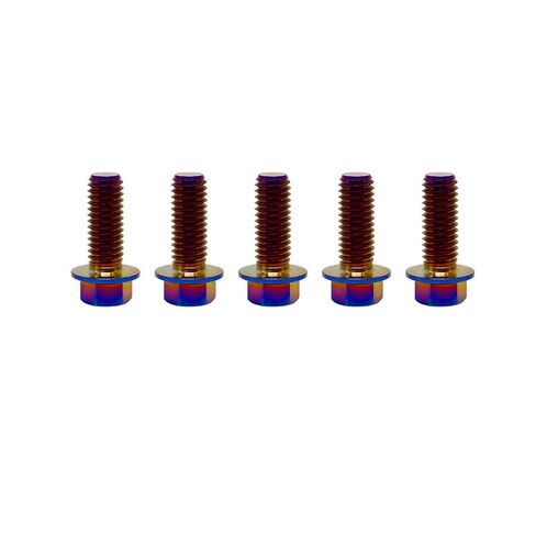 RISON-Titanium RISON Titanium Bolts Titanium Flanged Hex Head Bolt M6x1.0x15mm 6AL4V Aerospace Grade Ti Bolt Burnt Blue Titanium Bolt for Motorcycle Car Modification Pack of 5 in Saudi Arabia