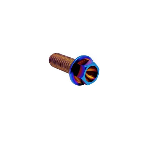 RISON-Titanium RISON Titanium Bolts Titanium Flanged Hex Head Bolt M6x1.0x15mm 6AL4V Aerospace Grade Ti Bolt Burnt Blue Titanium Bolt for Motorcycle Car Modification Pack of 5 in Saudi Arabia