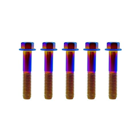 RISON-Titanium RISON Titanium Bolts Titanium Flanged Hex Head Bolt M6x1.0x15mm 6AL4V Aerospace Grade Ti Bolt Burnt Blue Titanium Bolt for Motorcycle Car Modification Pack of 5 in Saudi Arabia
