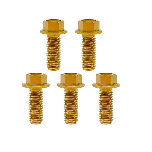 RISON-Titanium RISON Titanium Bolts Titanium Flanged Hex Head Bolt M6x1.0x15mm 6AL4V Aerospace Grade Ti Bolt Burnt Blue Titanium Bolt for Motorcycle Car Modification Pack of 5 in Saudi Arabia