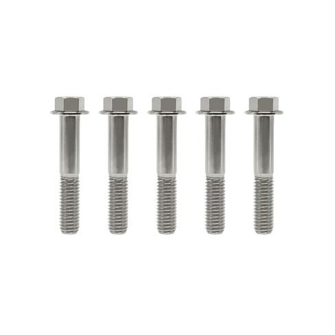 RISON-Titanium RISON Titanium Bolts Titanium Flanged Hex Head Bolt M6x1.0x15mm 6AL4V Aerospace Grade Ti Bolt Burnt Blue Titanium Bolt for Motorcycle Car Modification Pack of 5 in Saudi Arabia