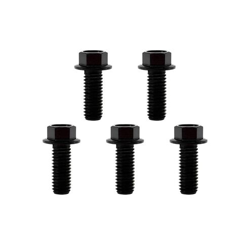 RISON-Titanium RISON Titanium Bolts Titanium Flanged Hex Head Bolt M6x1.0x15mm 6AL4V Aerospace Grade Ti Bolt Burnt Blue Titanium Bolt for Motorcycle Car Modification Pack of 5 in Saudi Arabia