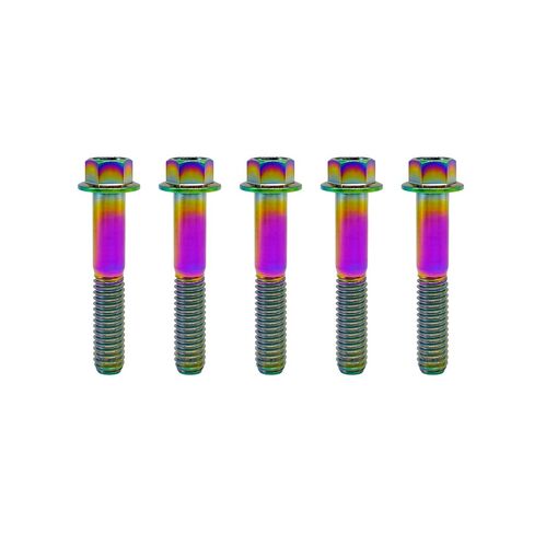 RISON-Titanium RISON Titanium Bolts Titanium Flanged Hex Head Bolt M6x1.0x15mm 6AL4V Aerospace Grade Ti Bolt Burnt Blue Titanium Bolt for Motorcycle Car Modification Pack of 5 in Saudi Arabia