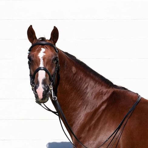 Equinavia Saga Double Bridle w/Reins in Saudi Arabia