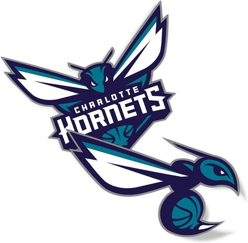 ملصق من الفينيل مطبوع عليه Desert Cactus Charlotte Hornets NBA مرخص رسميًا وزجاجة مياه للكمبيوتر المحمول ودفتر قصاصات السيارة (4 بوصة) in Saudi Arabia