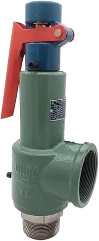1 "4.2Mpa صمام تخفيف الضغط A28H-64 صمام الأمان DN25 42bar in Saudi Arabia