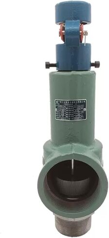 1 "4.2Mpa صمام تخفيف الضغط A28H-64 صمام الأمان DN25 42bar in Saudi Arabia