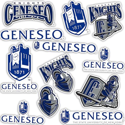 Desert Cactus State University of New York Geneseo Sticker SUNY Knights Vinyl Decals Laptop Water Bottle Car Scrapbook Sheet (Type 2) in Saudi Arabia