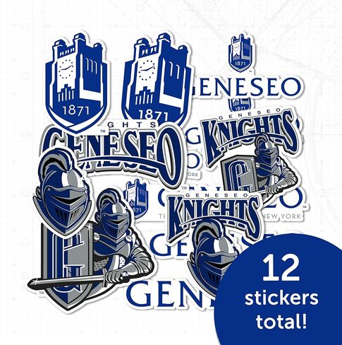 Desert Cactus State University of New York Geneseo Sticker SUNY Knights Vinyl Decals Laptop Water Bottle Car Scrapbook Sheet (Type 2) in Saudi Arabia