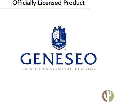 Desert Cactus State University of New York Geneseo Sticker SUNY Knights Vinyl Decals Laptop Water Bottle Car Scrapbook Sheet (Type 2) in Saudi Arabia