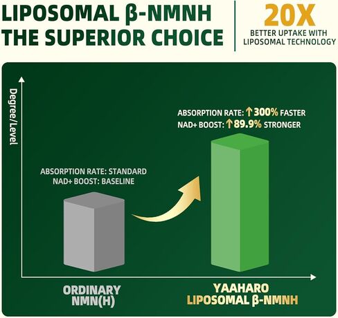 NMNH Supplement 2000mg, Liposomal Nicotinamide Mononucleotide Alternative for NAD+ and Healthy Aging - with Resveratrol, Urolithin A, TMG, CoQ10 - 120 Capsules (β-Dihydronicotinamide Mononucleotide) in Saudi Arabia