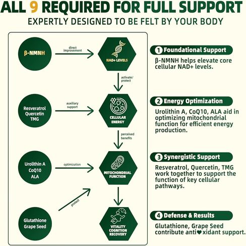 NMNH Supplement 2000mg, Liposomal Nicotinamide Mononucleotide Alternative for NAD+ and Healthy Aging - with Resveratrol, Urolithin A, TMG, CoQ10 - 120 Capsules (β-Dihydronicotinamide Mononucleotide) in Saudi Arabia