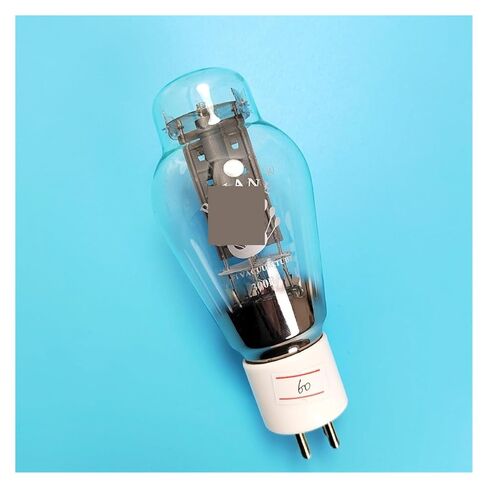 1PCS Tube HiFi 300B in Saudi Arabia