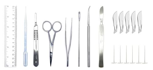 19 Piece Dissecting Kit Including Scissors, Forceps, Scalpels, and Probe in Disposable Plastic Bag for Anatomy Lab, Biology, Medical Students, and General Dissection in Saudi Arabia