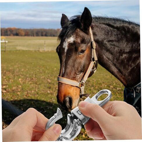 Zinc Alloy Equestrian Snap Hook Quick Release Snap Hook for Rope 102mm with Fixed-Eye for Riding Gear in Saudi Arabia
