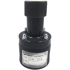 Female Thread DN32 DN40 PVC Safety Valve Plastic Back Pressure Valve One Way Pressure Relief Valve(1-1/2") in Kuwait