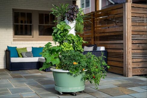 Tower Garden Flex Dolly in Saudi Arabia