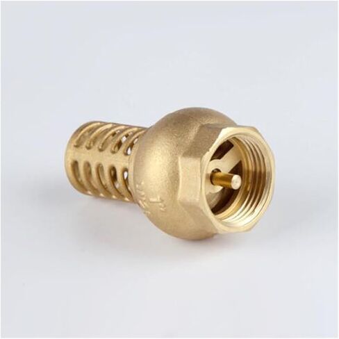 1/2" 3/4" 1" DN15 DN20 DN25 DN32 DN40 DN50 DN65 Female Thread Bottom Valve Brass Water Pump Foot Valve(1") in Kuwait