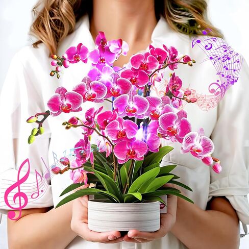 Birthday Cards, Light and Music Happy Birthday Card, Daisy and Butterfly, 10 Inch Life Sized Forever Flower Bouquet, 3D Pop Up Birthday Gift Card for Women Wife Mom Daughter Sister (Blank Notecard & Envelope) in Saudi Arabia