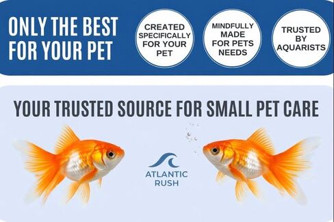 وحدة تغذية العطلات لحوض السمك - كتلة تغذية لمدة 14 يومًا - طعام أسماك بطيء الإطلاق لسمك البيتا والسمك الذهبي والأسماك الاستوائية - طعام خزان الحيوانات الأليفة المائي (عبوة واحدة من كتلتين) in Kuwait
