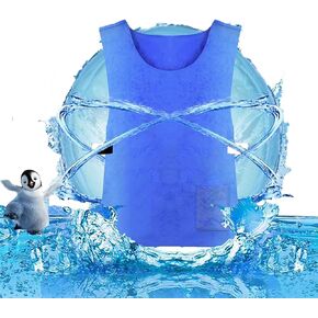 Cooling Ice Vest for Men Women,Adjustable Cold Vest Fabric Sport Cool Vest for Avoid Hot Weather Heatstroke Cooler Vest for Teens,Men and Women,Fishing,Cycling,Running,Cooking,Gardening,Motorcycle