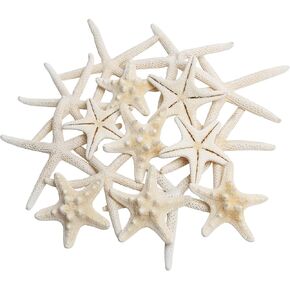 16pcs Natural Starfish for Crafts, 1.2-2.7 Inch Bulk Star Fish Shells Ornaments for Decor, Flat Sea Stars for Wedding Decoration