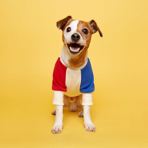 FLOT Designer Dog Sweatshirt Premium Materials Tailored Fit Sweater Trendy Designed and Made in Korea (Red/Blue) Small in Saudi Arabia