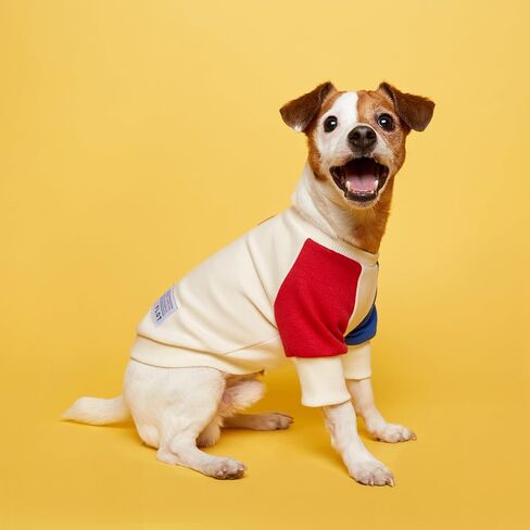 FLOT Designer Dog Sweatshirt Premium Materials Tailored Fit Sweater Trendy Designed and Made in Korea (Red/Blue) Small in Saudi Arabia