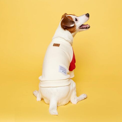 FLOT Designer Dog Sweatshirt Premium Materials Tailored Fit Sweater Trendy Designed and Made in Korea (Red/Blue) Small in Saudi Arabia