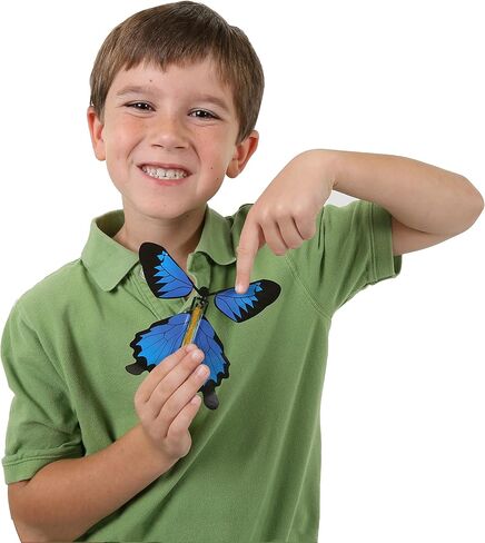 فراشة لور الحشرات - 8 قطع in Kuwait