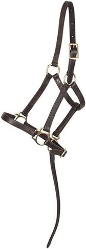 Schneiders Premier Leather Foal Halter for Horses - Weanling | Premium Grade A Leather | Designed for Growing Foals | Adjustable Curb for Customized Fit | Includes Grab Strap | Brass Plated Hardware in Saudi Arabia
