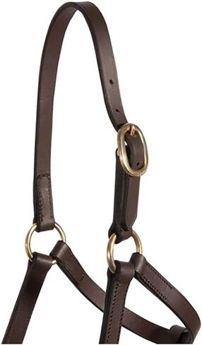 Schneiders Premier Leather Foal Halter for Horses - Weanling | Premium Grade A Leather | Designed for Growing Foals | Adjustable Curb for Customized Fit | Includes Grab Strap | Brass Plated Hardware in Saudi Arabia