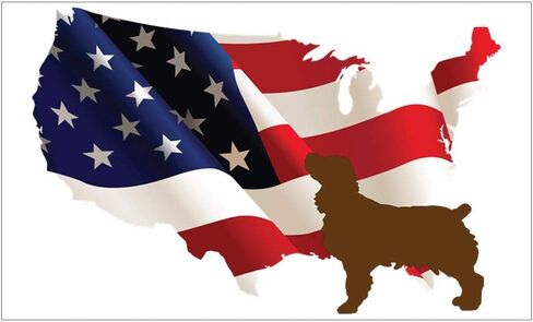 USA Proud Boykin Spaniel Decal Vinyl Bumper Sticker 5" in Saudi Arabia