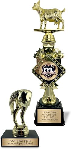 جوائز الفائز والخاسر - مجموعة الماعز والحصان المعقدة مع لوحات مخصصة للمركز الأول والأخير in Kuwait