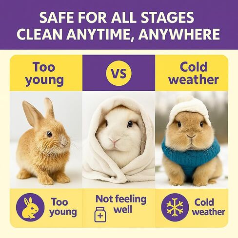 Rabbit Bath Wipes - Disposable Glove Design, Waterless No-Blow Clean, for Bunny Paws, Fur, Bottoms & Sensitive Areas, 6-Count (Pet Gloves Wipes 3 Packs (18 Pieces)) in Saudi Arabia
