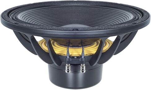 مكبر صوت B & C 18DS100-4 LF برامج تشغيل LF مقاس 18 بوصة مكبر صوت 4 أوم مقاومة احترافية لمكونات الصوت سائق للدراجات النارية والسيارة 1500 وات RMS / 3000 وات كحد أقصى مع فجوة ملف صوتي مهواة in Kuwait