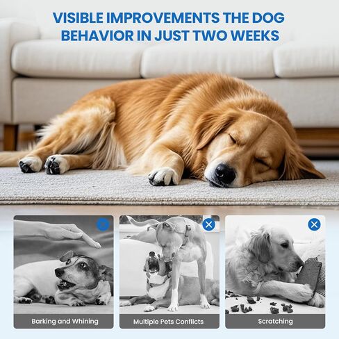 Dog Calming Diffuser, 8 in 1 Dog Pheromones Calming Diffuser, Relaxing Pheromone for Dogs Relief Stress Anxiety Reduce Aggression Barking, Help Train Dog to Pee, 2 Diffuser 6 Refill(48ml) in Kuwait