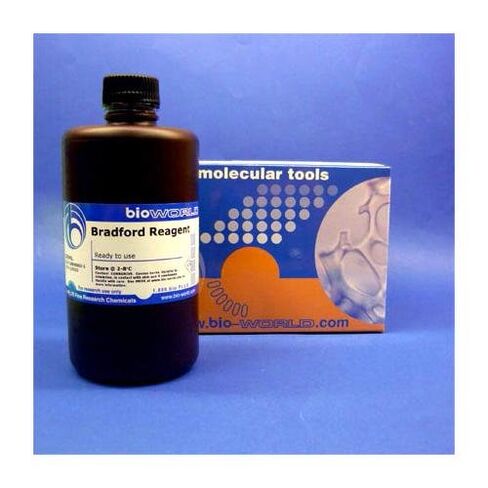 bioWORLD 20830002-3 Bradford Reagent, Ready to Use in Saudi Arabia