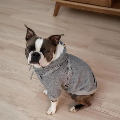 Dog Hoodies with Hurns Built in, Dog Sweatshirt for Small, Medium, and Large Dogs, Warm Sweaters for French Bulldogs, Pitbull, Puppy, Winter Jacket Alternative - Light Grey - L in Saudi Arabia