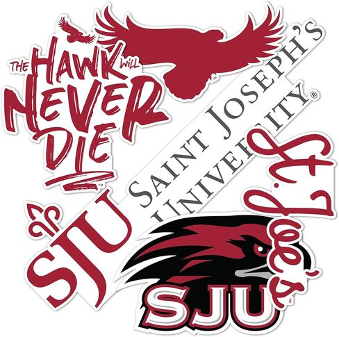 Desert Cactus Saint Joseph's University Sticker Hawks SJUr Vinyl Decals Laptop Water Bottle Car Scrapbook Sheet T2 (Type 2-3) in Saudi Arabia