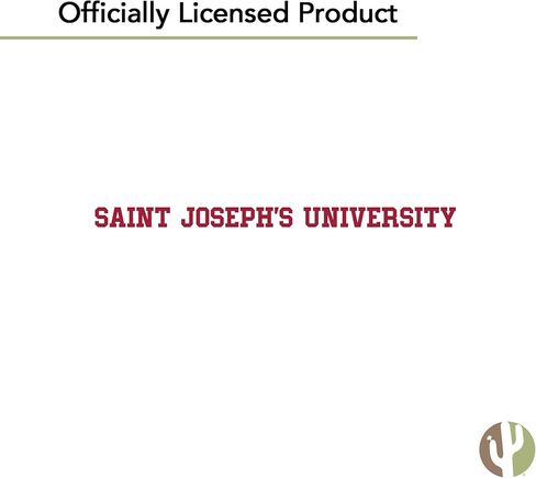 Desert Cactus Saint Joseph's University Sticker Hawks SJUr Vinyl Decals Laptop Water Bottle Car Scrapbook Sheet T2 (Type 2-3) in Saudi Arabia