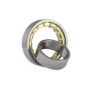 Roller Bearing N/NU/NJ202 203 204 205 206 207 208 209 210 211 212 213 214 215 216EM Brass Cage/Steel Cage Bearing(N202EM(15x35x11)) in Saudi Arabia