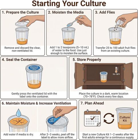 byFormica Just Add Flies! Fruit Fly DIY Culture Kit for Drosophila Melanogaster or Hydei with NutriDense SuperFood Blend (MaxYield) in Saudi Arabia