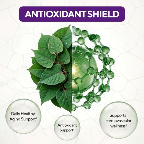 مكمل VitaUp Trans-Resveratrol - نقاء 98%، كبسولات ريسفيراترول مصنوعة في الولايات المتحدة الأمريكية 600 مجم - موحدة إلى 98% Trans-Resveratrol - مضاد للأكسدة للشيخوخة الصحية ودعم الطاقة - 60 كبسولة in Kuwait