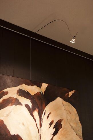 STAS Multirail - Lighting and Hanging Picture Rail System - 78.75" - Silver in Kuwait