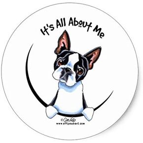 ملصق Lancy's Artwork Boston Terrier It All About Me الكلاسيكي الدائري - ملصق جرافيك - تلقائي، جدار، كمبيوتر محمول، خلية، ملصق شاحنة للنوافذ، السيارات، الشاحنات in Kuwait