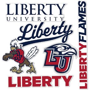 Desert Cactus Liberty University Sticker Flamesr Vinyl Decals Laptop Water Bottle Car Scrapbook Sheet T2 (Type 2-2) in Kuwait