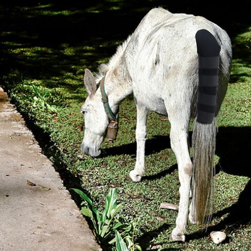 واقي ذيل الحصان المبطن الممتاز القابل للتعديل، مثبتات تعمل باللمس، واقي ذيل الحصان غير قابل للانزلاق، يمنع تكسر الشعر ويمنع فرك الذيل in Kuwait