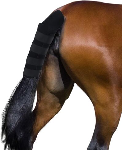 واقي ذيل الحصان المبطن الممتاز القابل للتعديل، مثبتات تعمل باللمس، واقي ذيل الحصان غير قابل للانزلاق، يمنع تكسر الشعر ويمنع فرك الذيل in Kuwait
